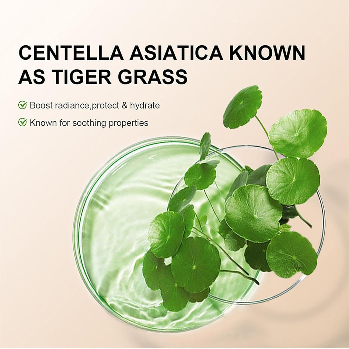 Återfuktande CC Cream Foundation med Centella Asiatica❄️