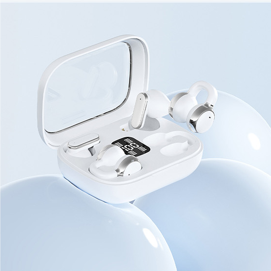 2-in-1 Bluetooth earphones with ear hooks and earbuds | 30 hours of playback time