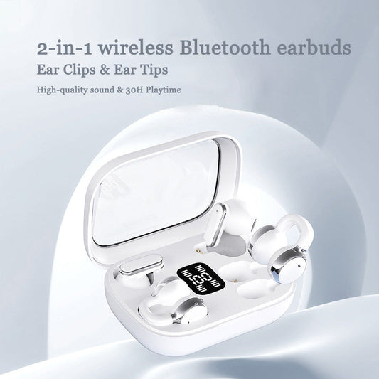 2-in-1 Bluetooth earphones with ear hooks and earbuds | 30 hours of playback time