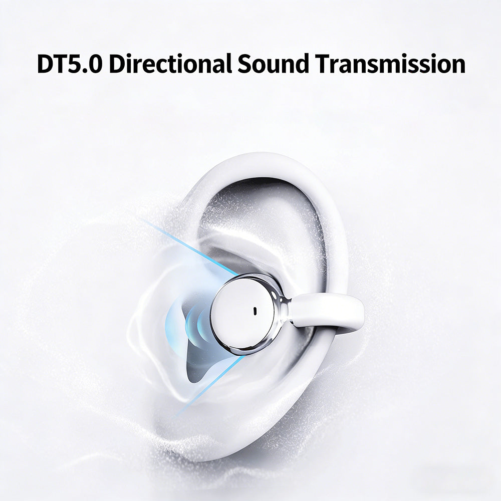2-in-1 Bluetooth earphones with ear hooks and earbuds | 30 hours of playback time