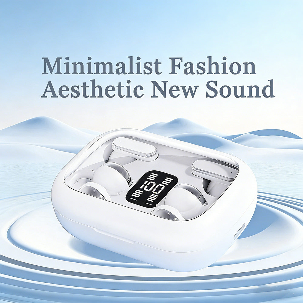 2-in-1 Bluetooth earphones with ear hooks and earbuds | 30 hours of playback time