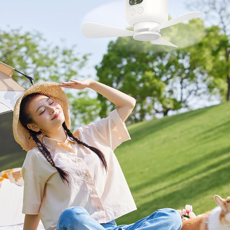 🍃Rechargeable ceiling fan with LED lightin